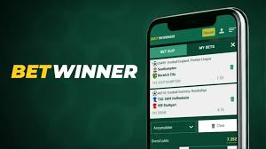 BetWinner Withdrawal Options A Comprehensive Guide