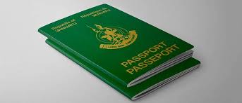 Vanuatu Citizenship by Investment A Comprehensive Guide 720271206