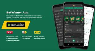 Discover the Thrills of BetWinner Online Gaming Platform